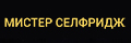 Мистер Селфридж