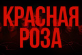 Красная роза