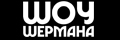 Шоу Шермана