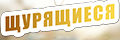 Щурящиеся